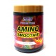 Professional Premium Amino Peach Smoothie 1 lb /454 g